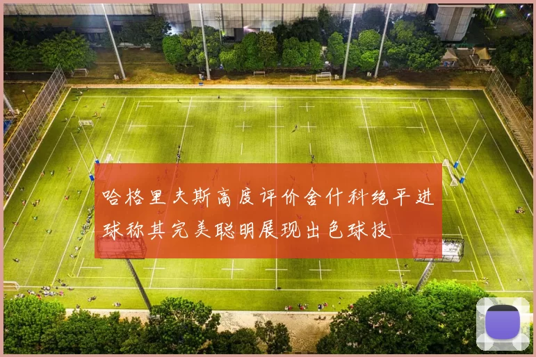 哈格里夫斯高度评价舍什科绝平进球称其完美聪明展现出色球技